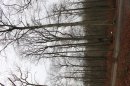 Forêt de Hez-Froidmont
